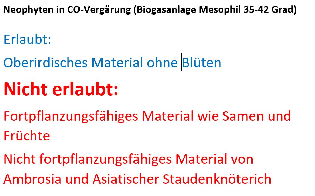 Neophyten was ist erlaubt und was ist nicht erlaubt Image